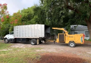 service photo 1 service photo 1